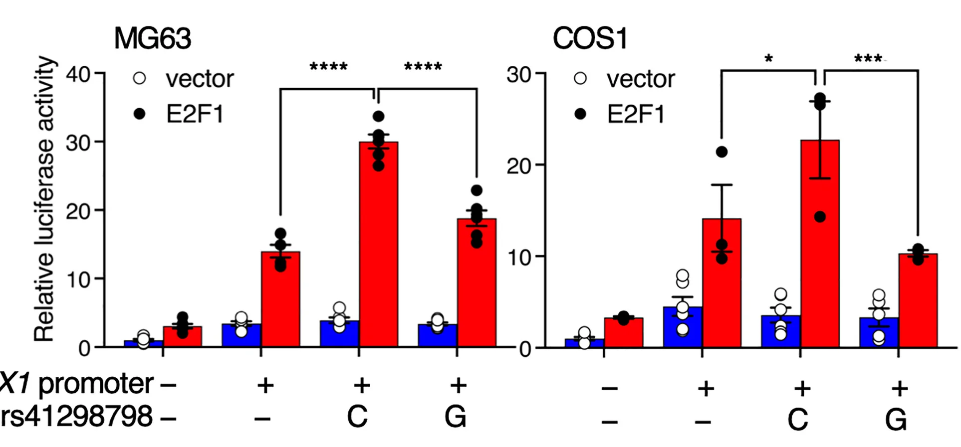 Open access visualization of Bar Plot, Error Bars, Clustered, E2F1 Overexpression, Allele-Specific Enhancer Activity