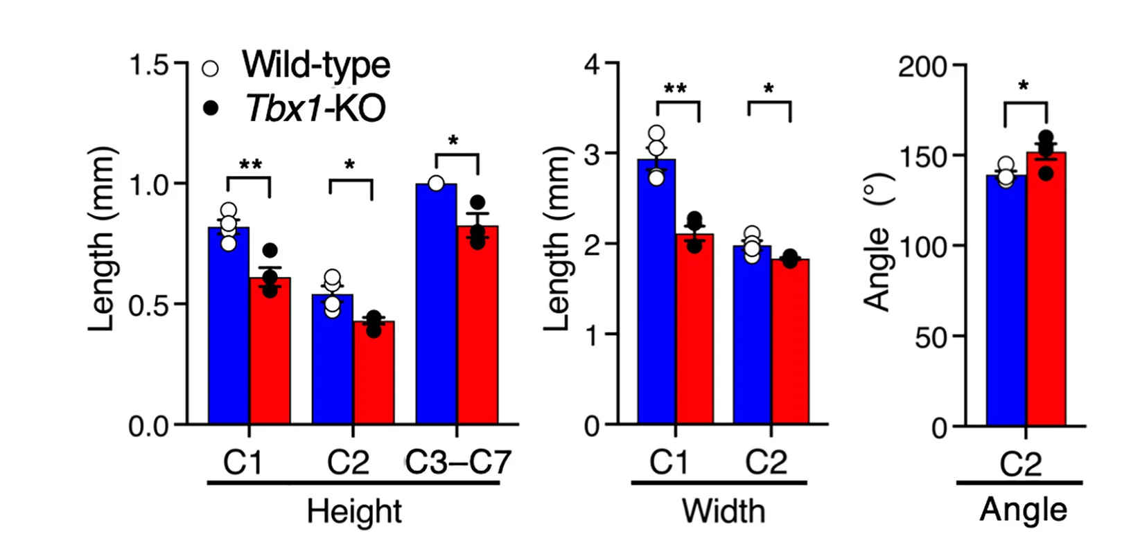 Open access visualization of Bar Plot, Error Bars, Clustered, Measurements, Vertebrae