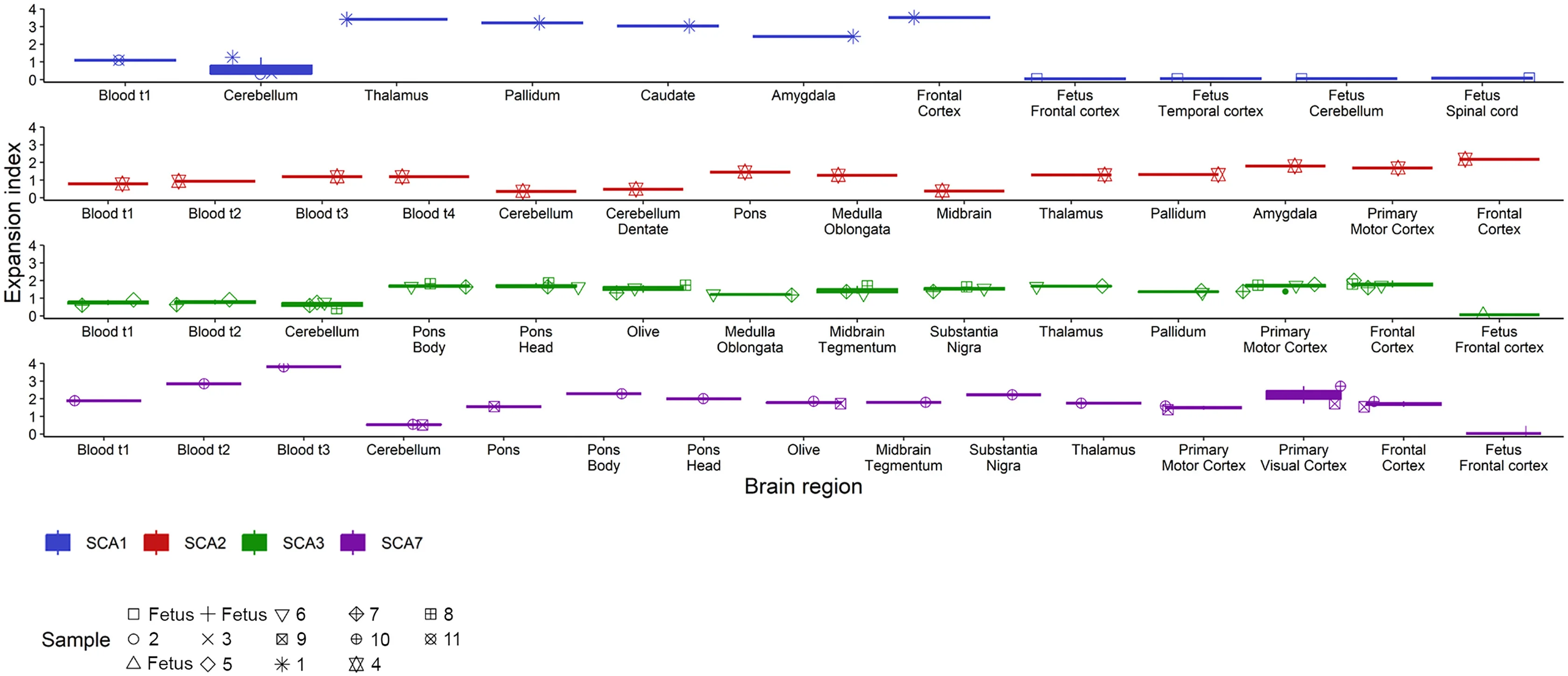 Open access visualization of Line Plot, Scatter Plot, Postmortem Brain, Brain Structures, Fetal Brain