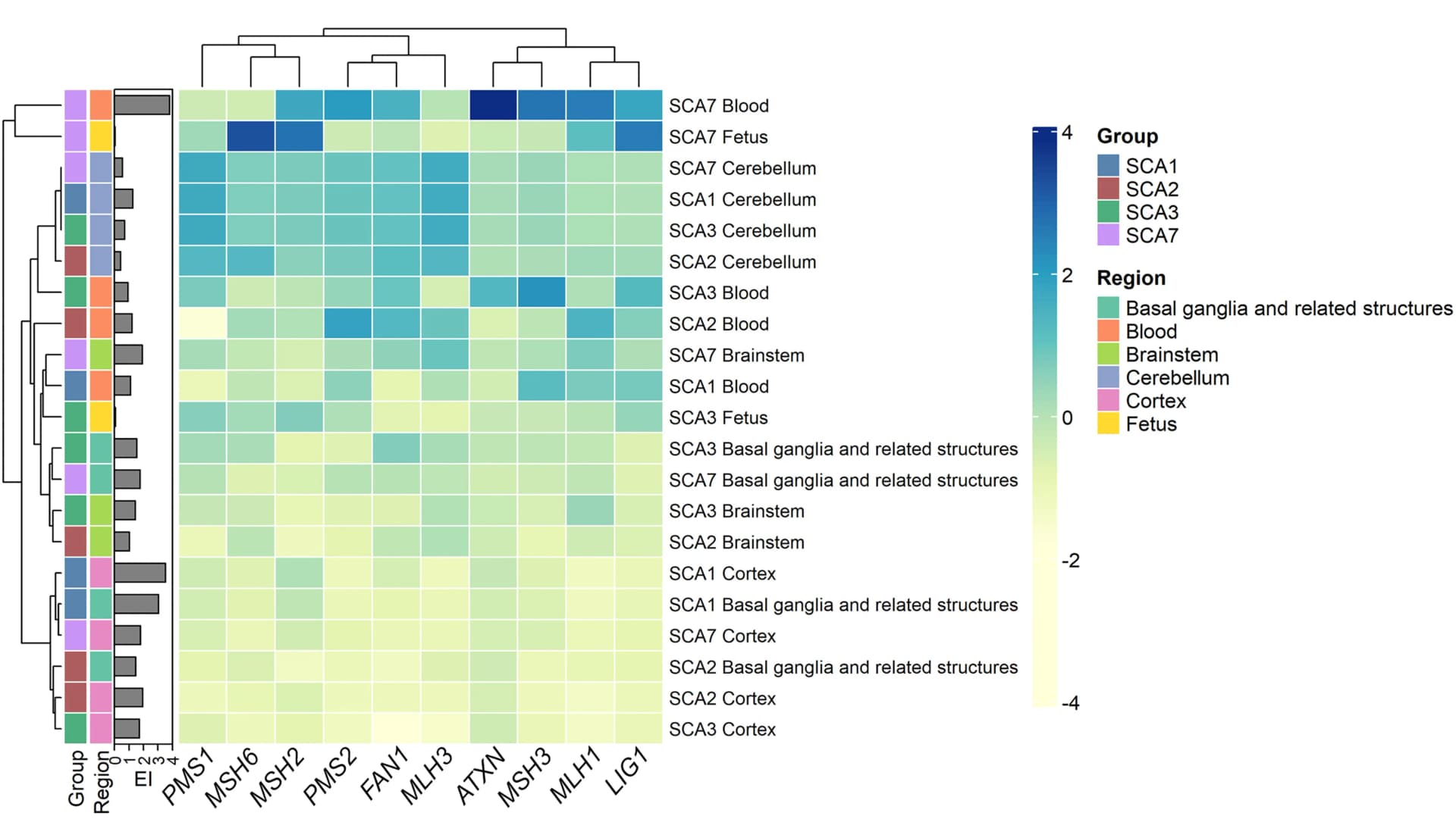 Open access visualization of Heatmap, Clustered, Bar Plot, DNA Repair Genes, ATXN Expression