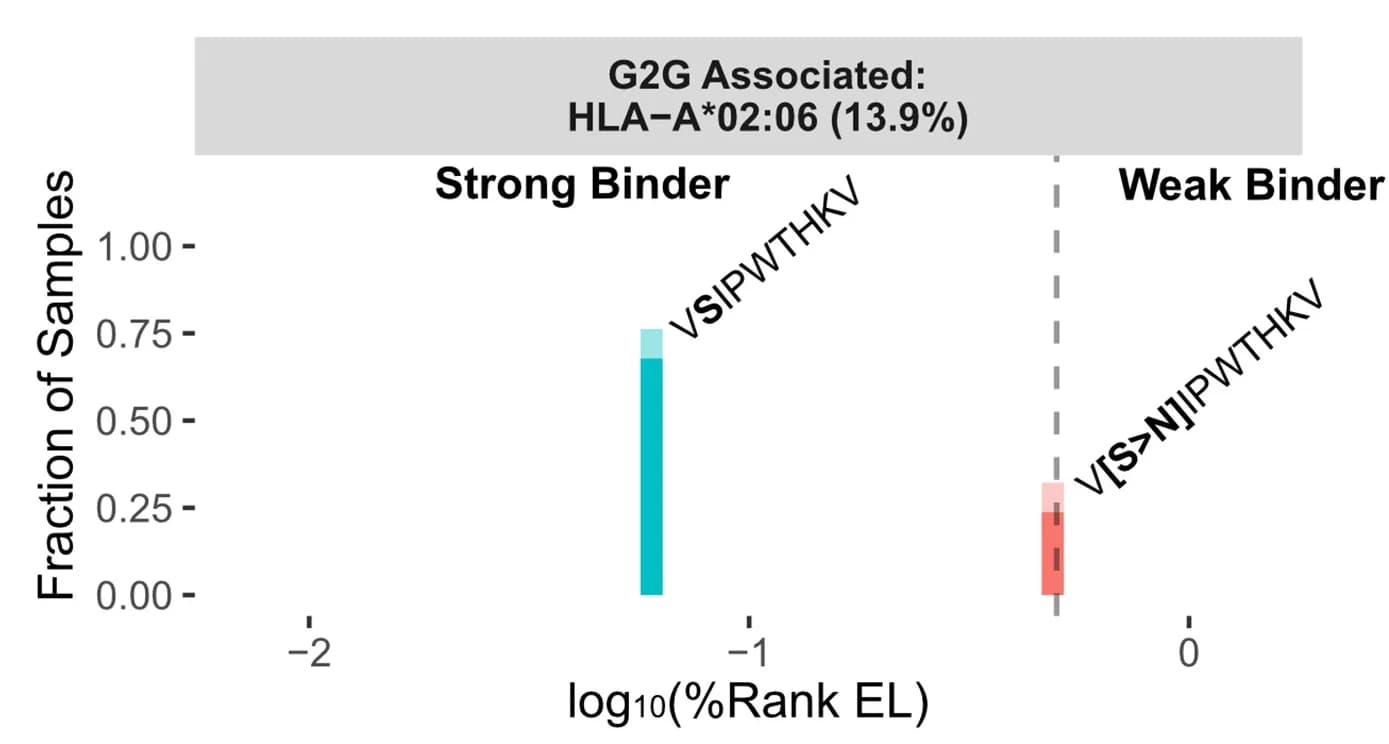 Open access visualization of Bar Plot, HLA-A*02:06, HBV Polymerase Protein, East Asian Cohort, Peptide Binding Affinity