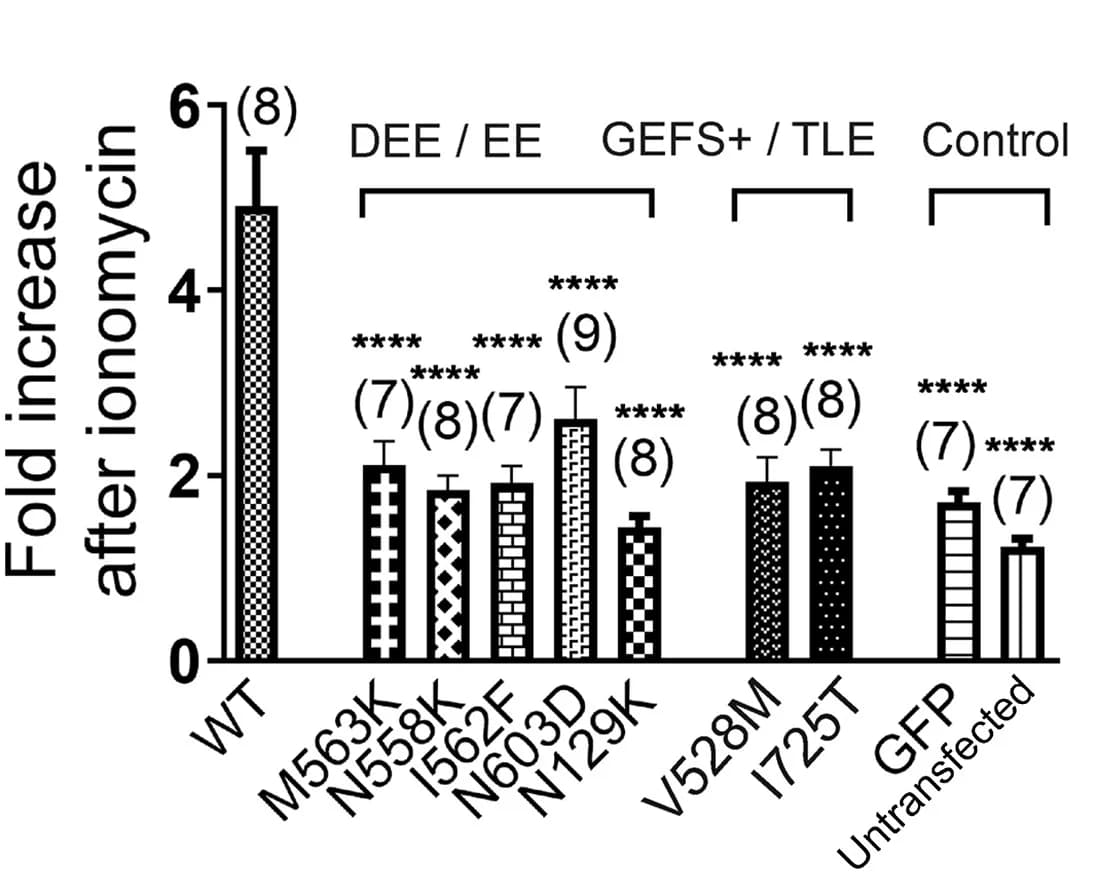 Open access visualization of Bar Plot, Error Bars, Membrane Conductance, Heterologous Expression, Ionomycin
