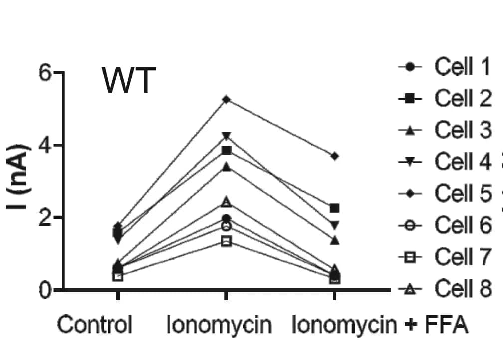 Open access visualization of Line Plot, HEK293 Cells, ANO4, Ionomycin, Flufenamic Acid