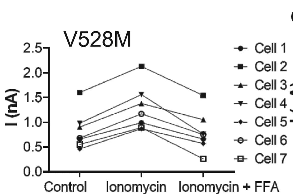 Open access visualization of Line Plot, HEK293 Cells, ANO4, Val528Met, Ionomycin