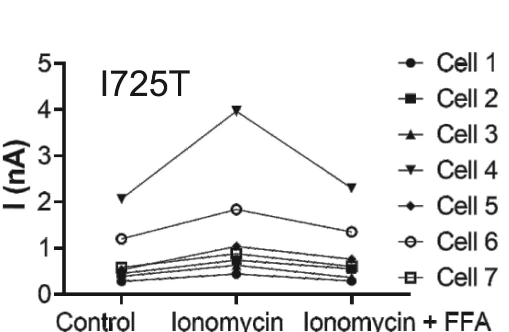 Open access visualization of Line Plot, HEK293 Cells, ANO4, Ile725Thr, Ionomycin