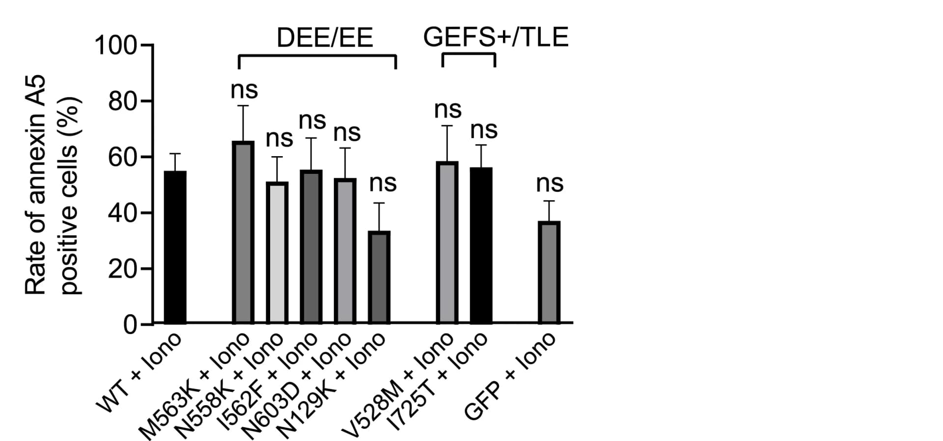 Open access visualization of Bar Plot, Error Bars, Annexin A5, Transfection, ANOVA