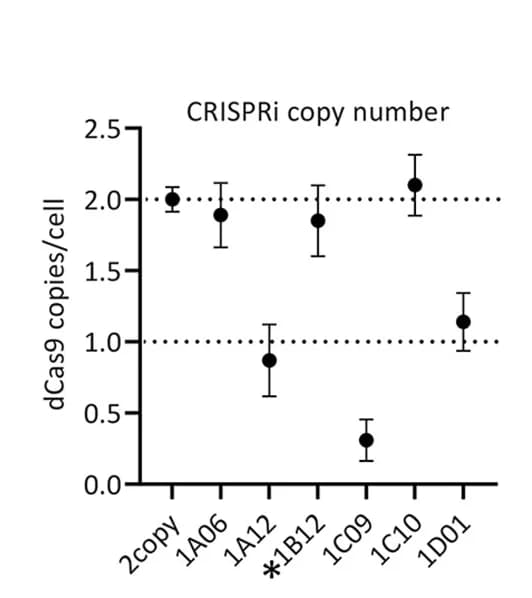 Open access visualization of Scatter Plot, Error Bars, Zygosity, Off-Target Integration, Copy-Number qPCR