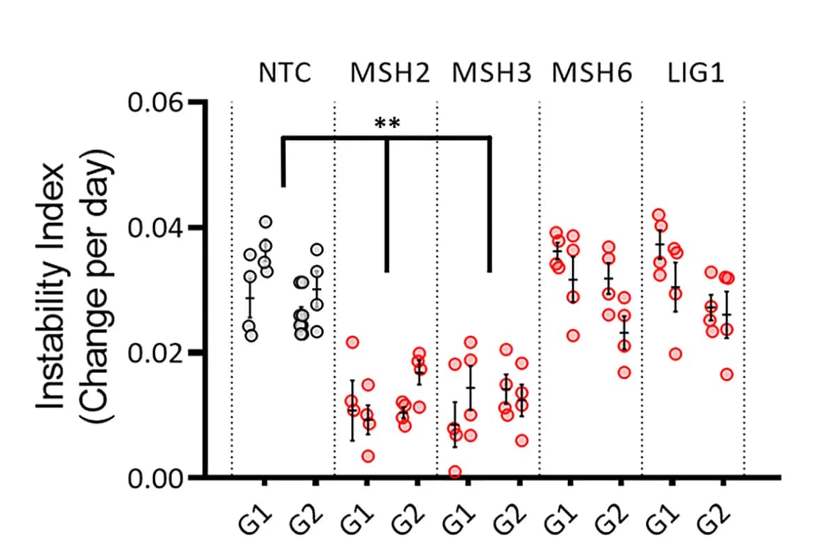 Open access visualization of Scatter Plot, Error Bars, Instability Index, MutS, LIG1