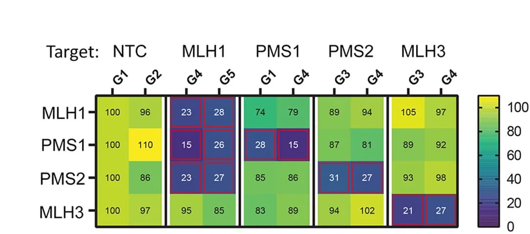 Open access visualization of Heatmap, Heat Maps, Protein Level, ACTB, Non-Targeting Control