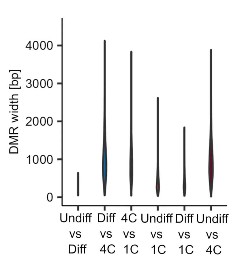 Open access visualization of Violin Plot, Differentially Methylated Regions, DMR Width, Group Comparison