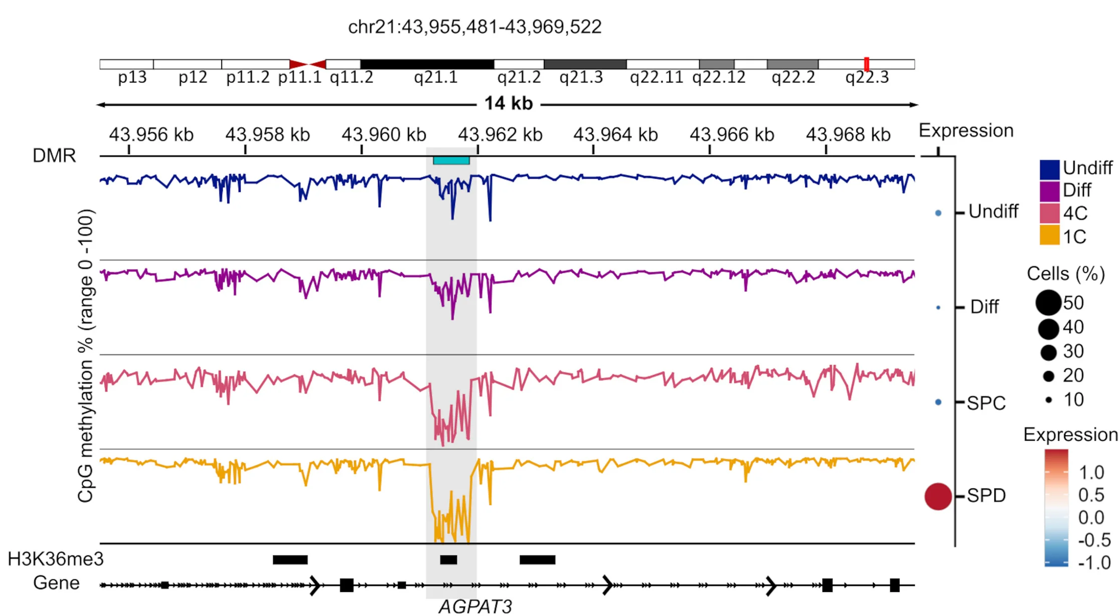 Open access visualization of Line Plot, Scatter Plot, DMR Methylation, AGPAT3 locus, H3K36me3