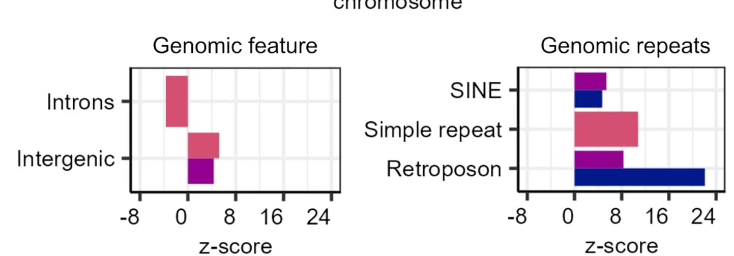 Open access visualization of Bar Plot, Clustered, Differentially Methylated Regions, Control, Cryptozoospermia
