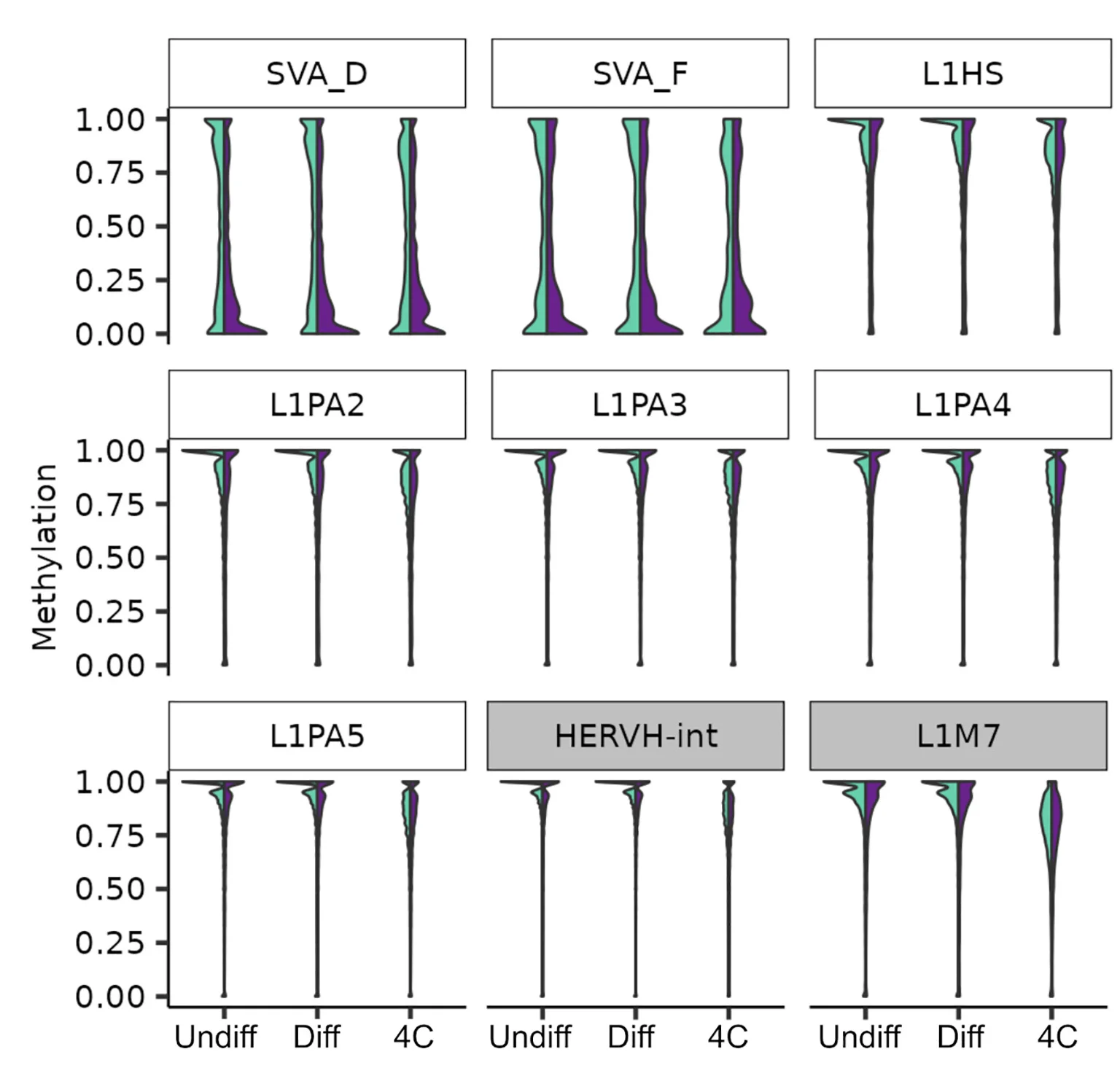 Open access visualization of Violin Plot, CpG Methylation, Transposable Elements, Germ Cells, Control