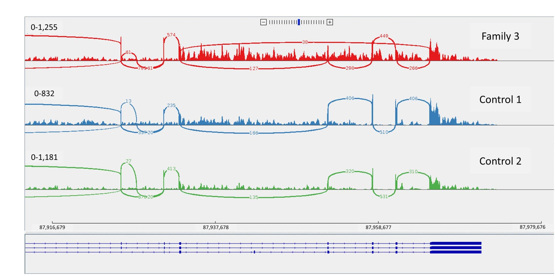 Open access visualization of Line Plot, Sashimi Plot, Inversion, Family 3, Exon Skipping