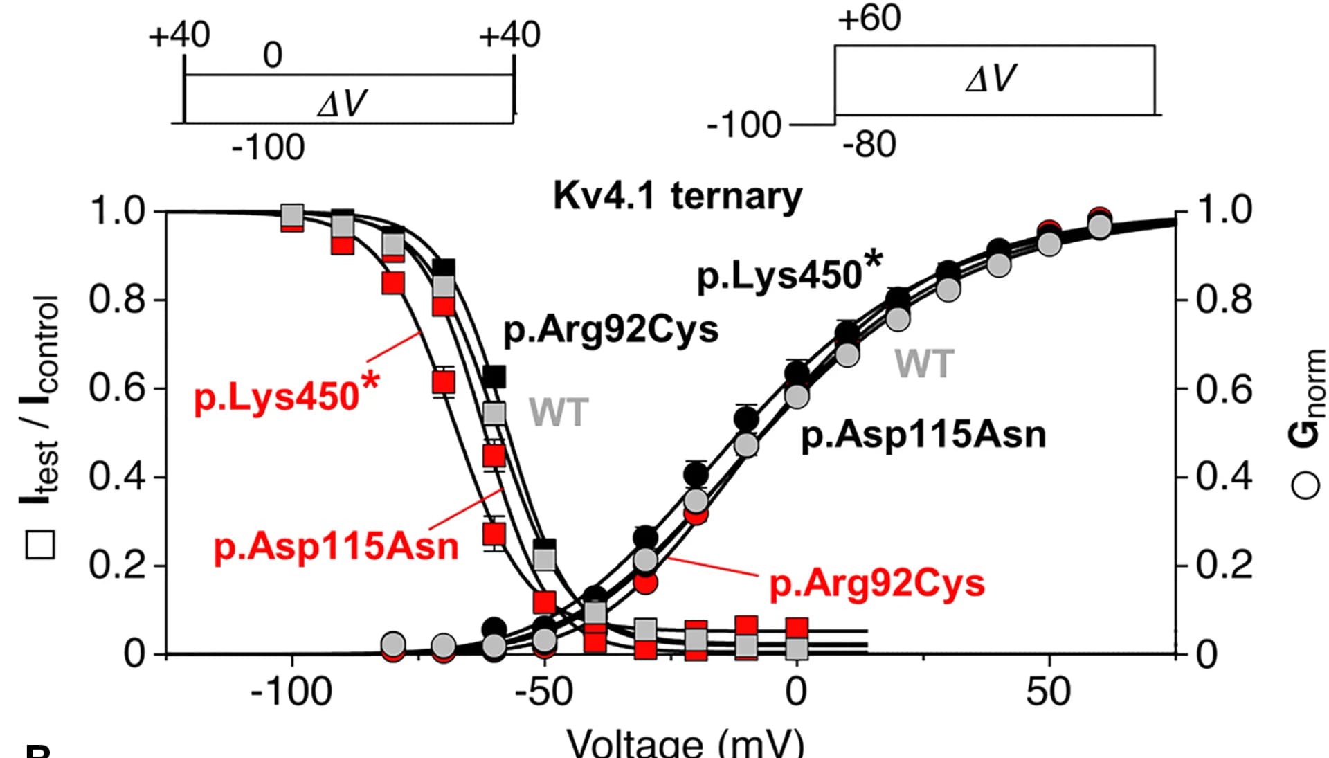 Open access visualization of Line Plot, Error Bars, Peak Conductance, Steady-State Inactivation, Kv4.1 Wild-Type