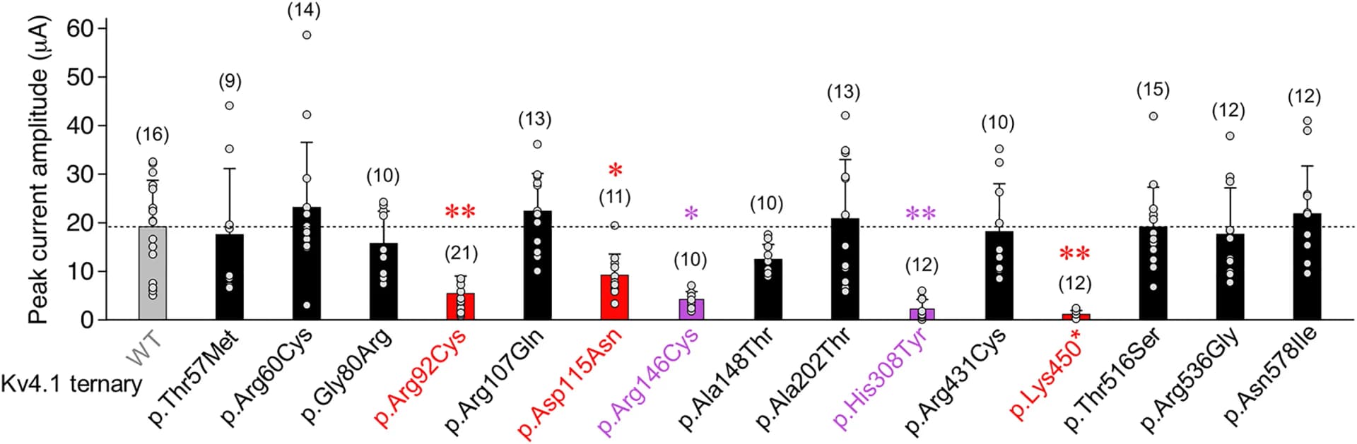 Open access visualization of Bar Plot, Error Bars, Scatter Plot, Peak Current Amplitudes, Kv4.1 WT
