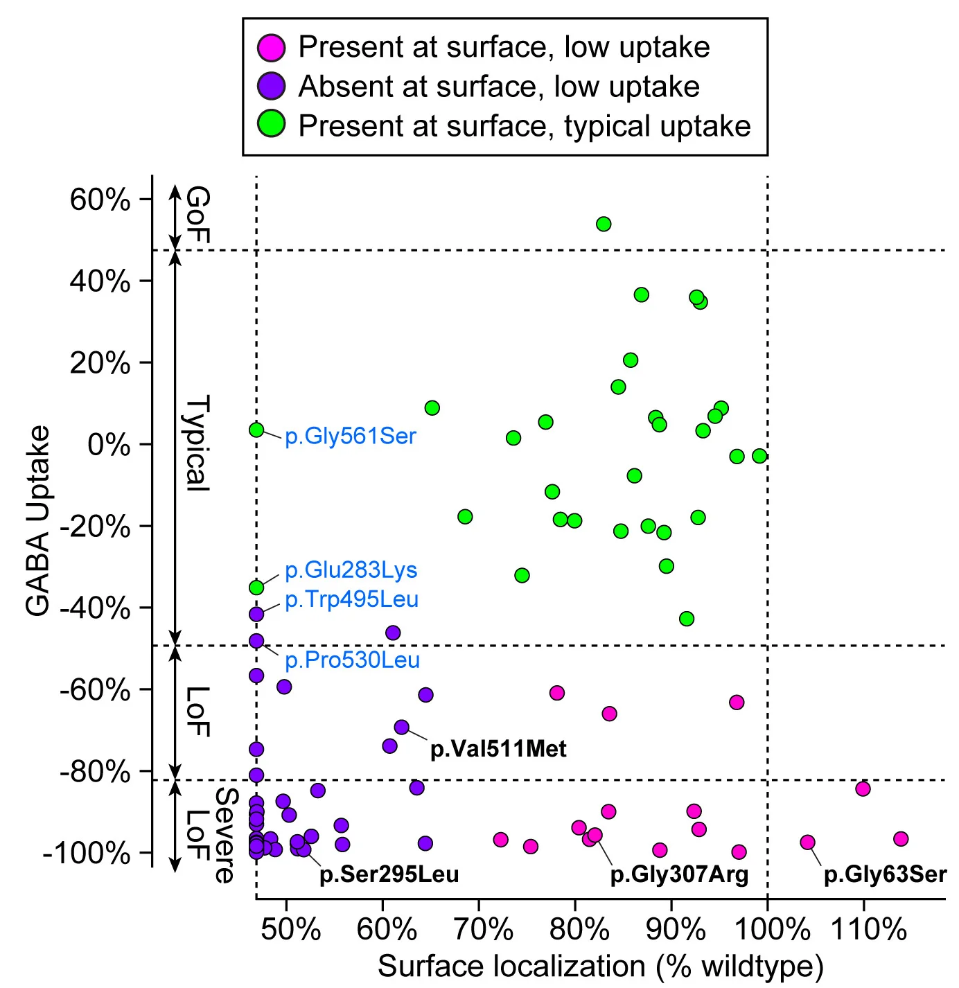 Open access visualization of Scatter Plot, GABA Uptake, Surface Localization, K-means Clustering, Variants