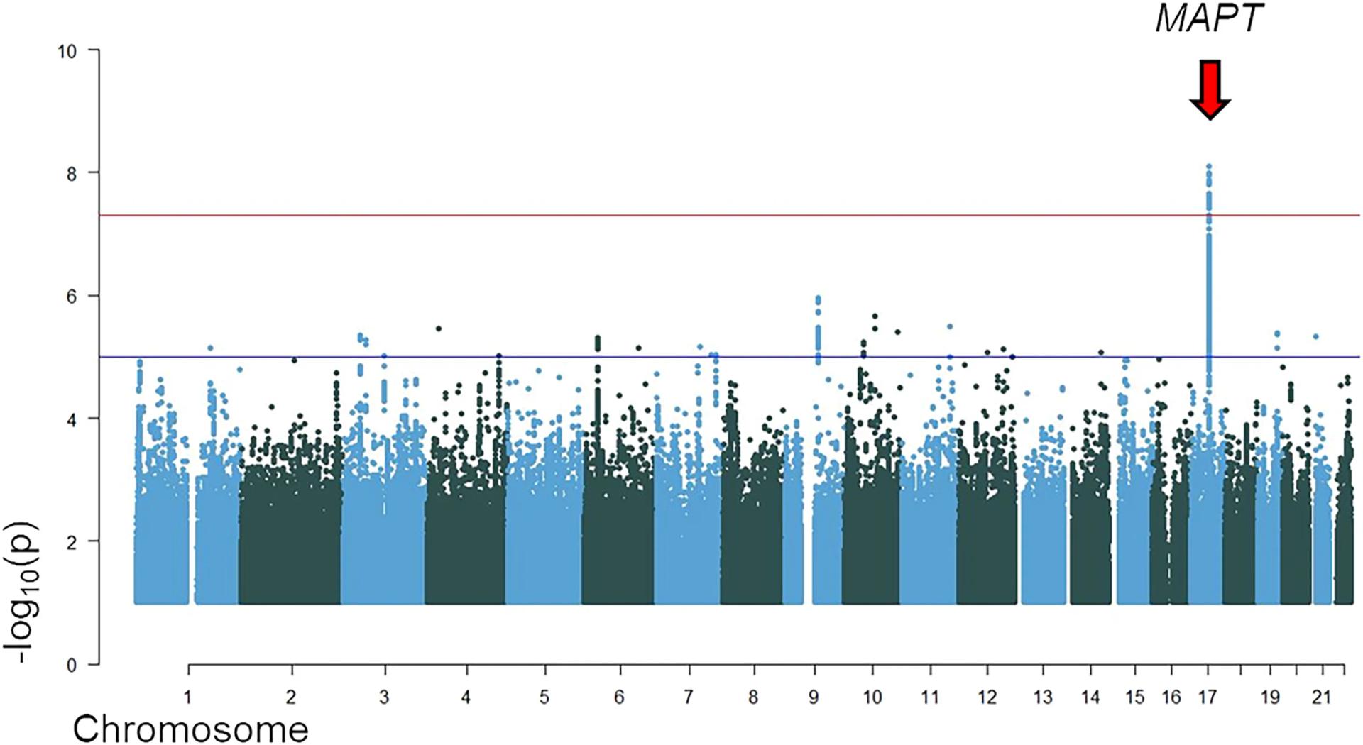 Open access visualization of Manhattan Plot, Genome-Wide Association Study, Chromosome 17, Gene Symbols, Genome-Wide Significant Signal