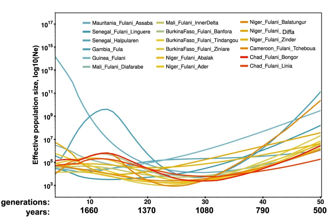 Open access visualization of Line Plot, Population Size, Fulani, IBDNe, Generations