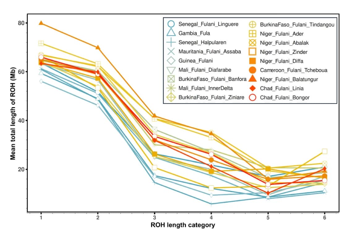 Open access visualization of Line Plot, ROH Length, Fulani, Averages, Population