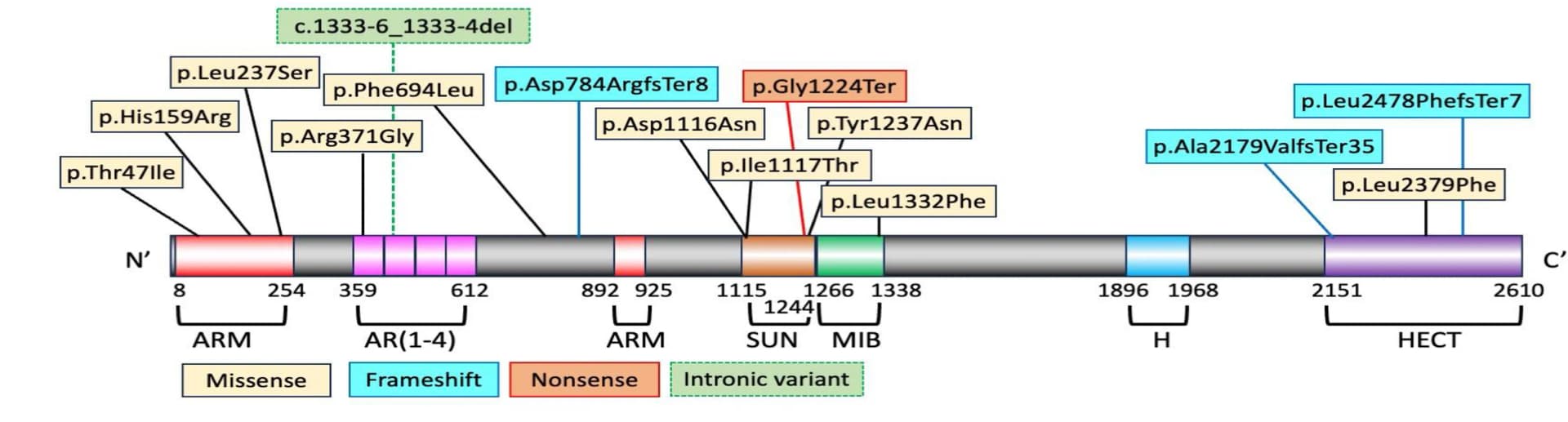 Open access visualization of Illustration, Variant Subtypes, Protein Domains