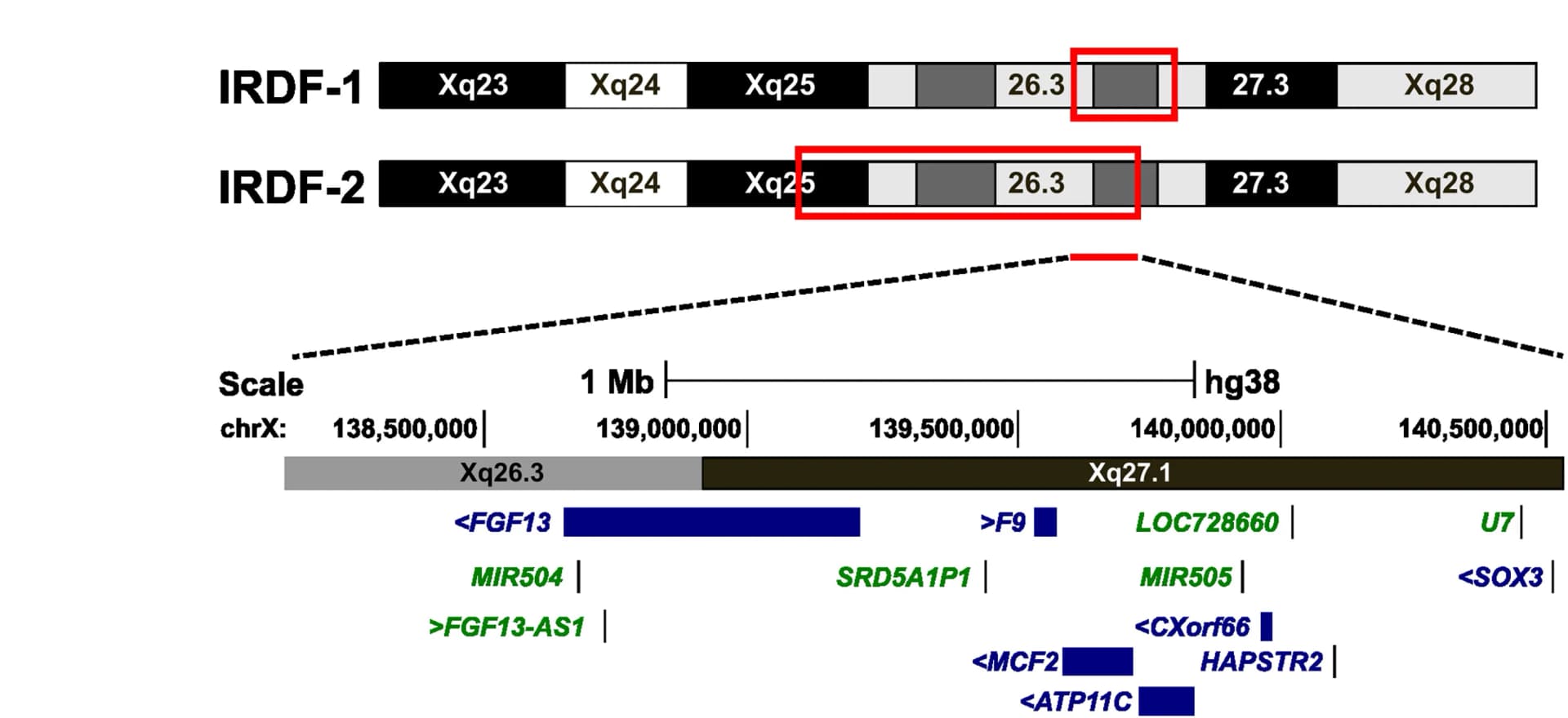 Open access visualization of Illustration, Schematic, Loci, Family IRDF-1, Family IRDF-2