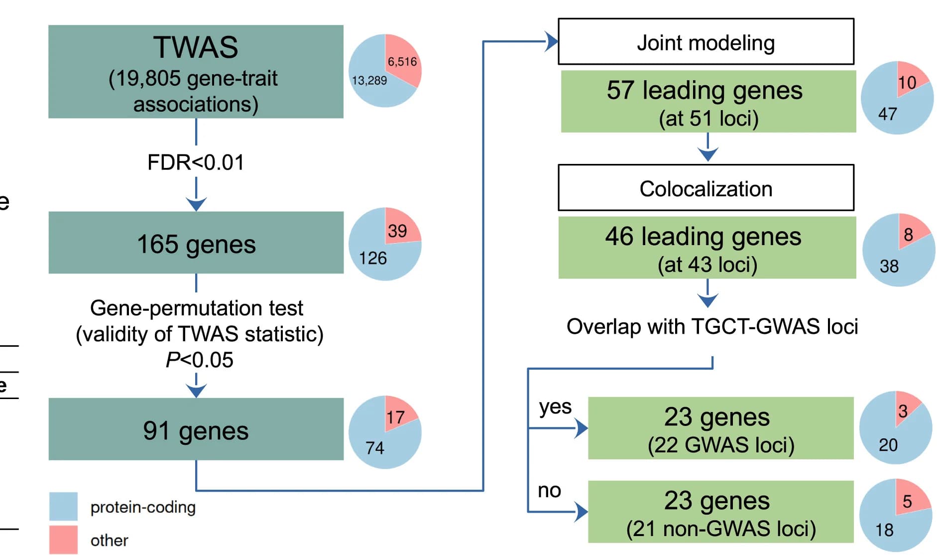 Open access visualization of Workflow, Flowchart, Pie Chart, TWAS, Genes