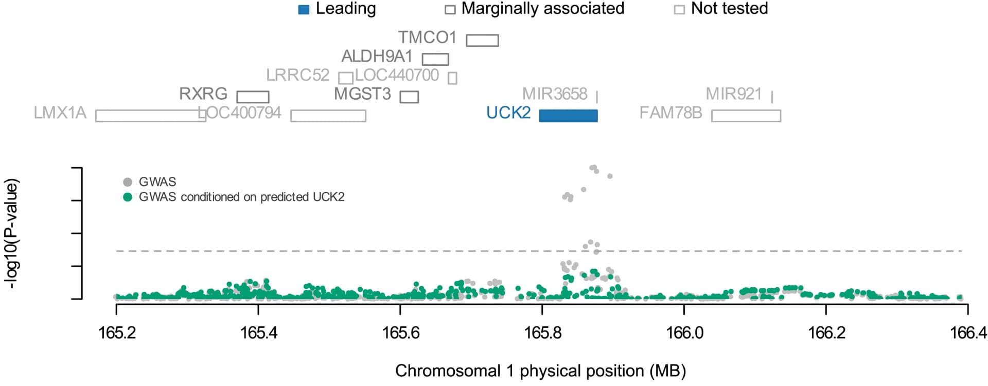Open access visualization of Scatter Plot, Manhattan Plot, UCK2, GINM1, Permutation P-Values