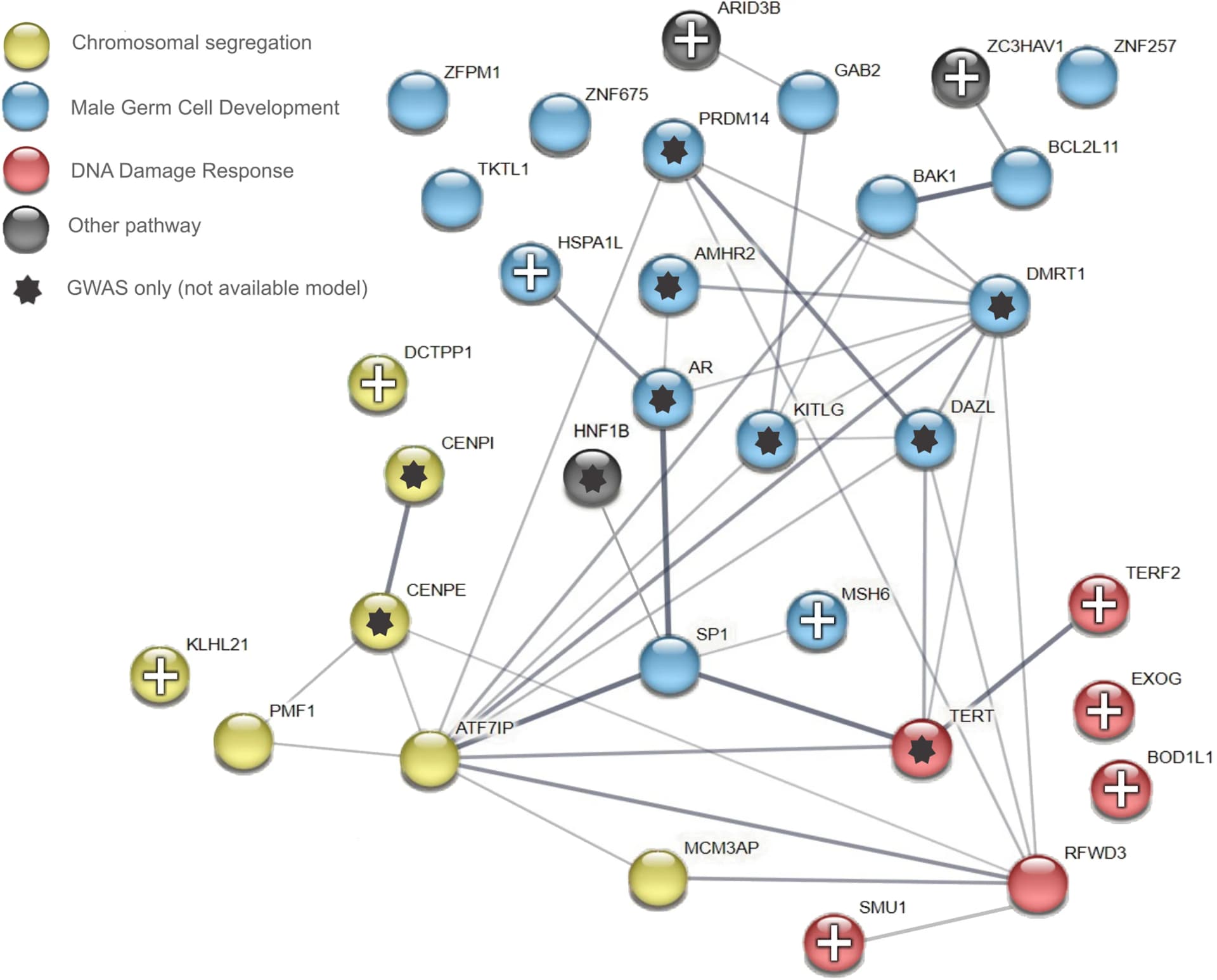 Open access visualization of Pathway, Network, Protein-Protein Interaction, STRING, TWAS