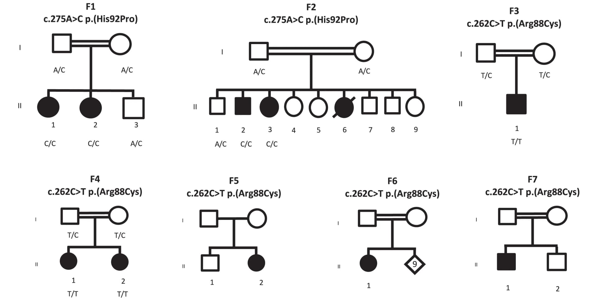 Open access visualization of Workflow, Flowchart, Illustration, Pedigree, MRPL49