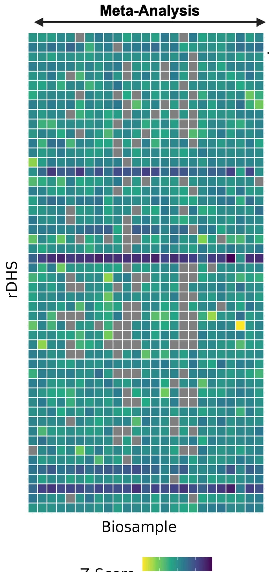 Open access visualization of Heatmap, ChIP-seq, CTCF, rDHSs, Biosamples