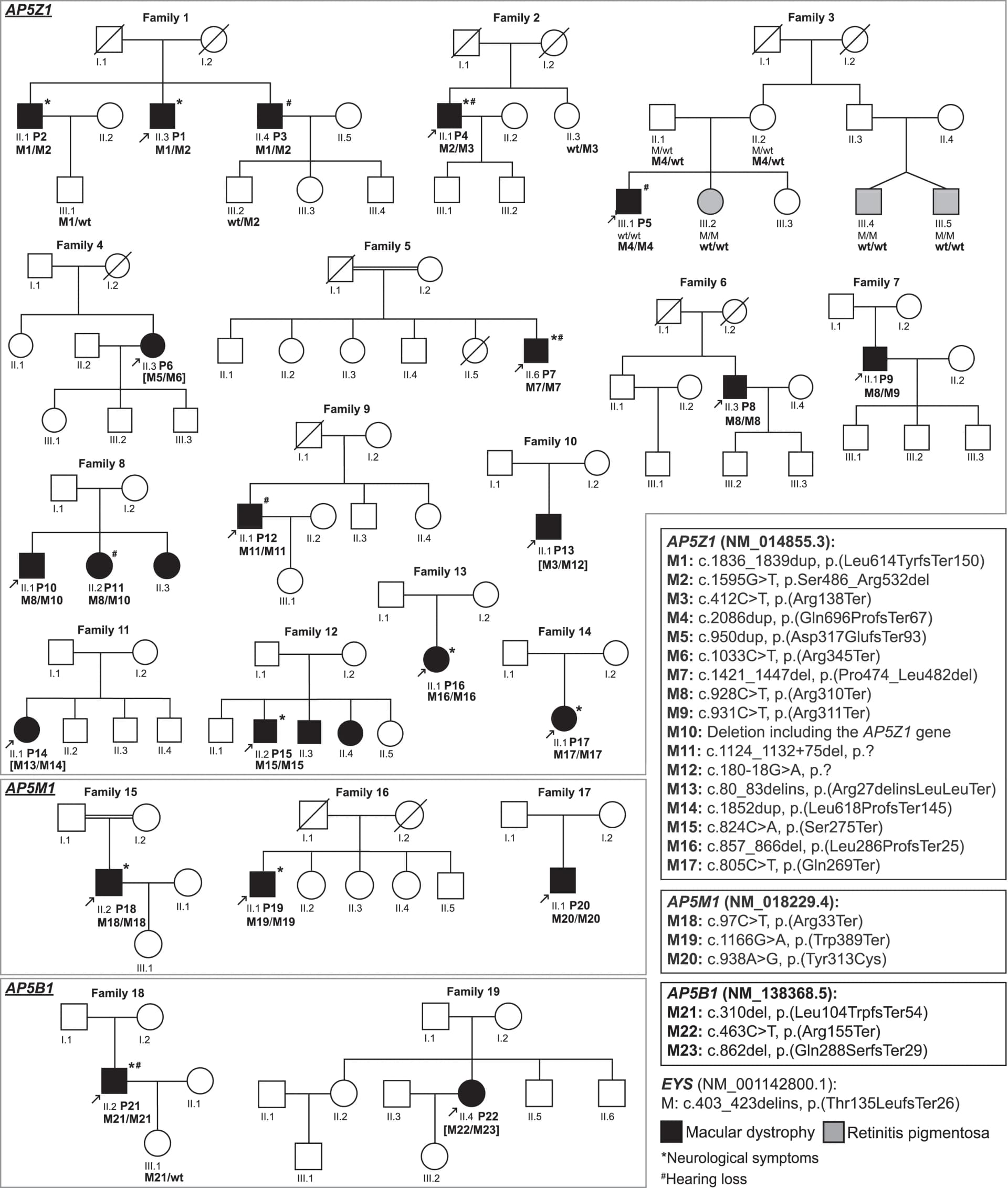 Open access visualization of Illustration, Workflow, Flowchart, Disease-associated variants, Wild-type alleles