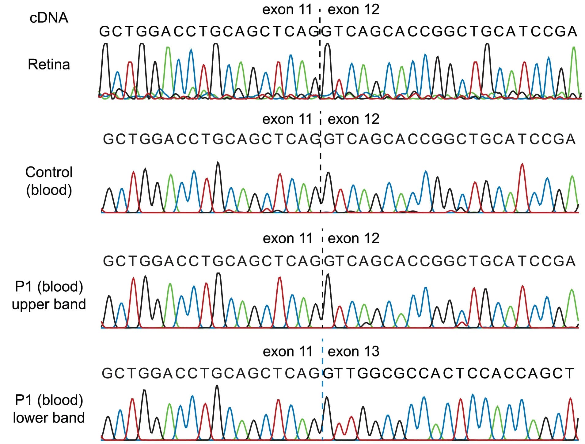 Open access visualization of Line Plot, Electropherogram, PCR, Retina, Control Sample