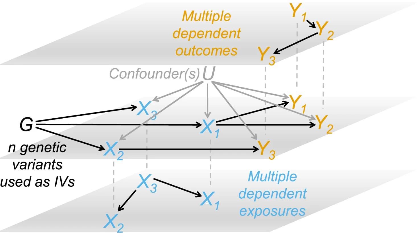 Open access visualization of Workflow, Flowchart, Illustration, Mendelian Randomization, Genetic Variants