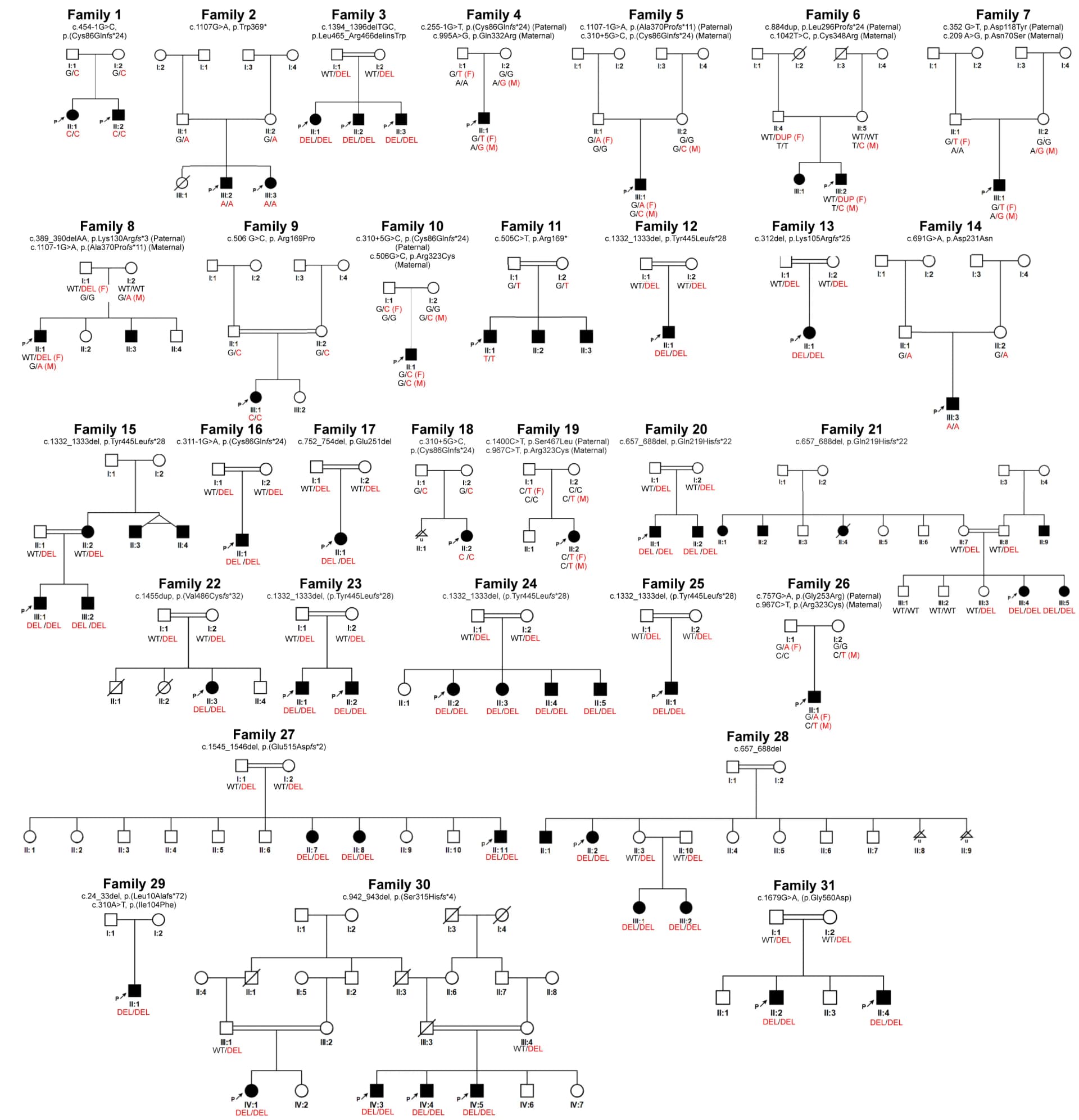 Open access visualization of Illustration, Workflow, Flowchart, Pedigrees, Families