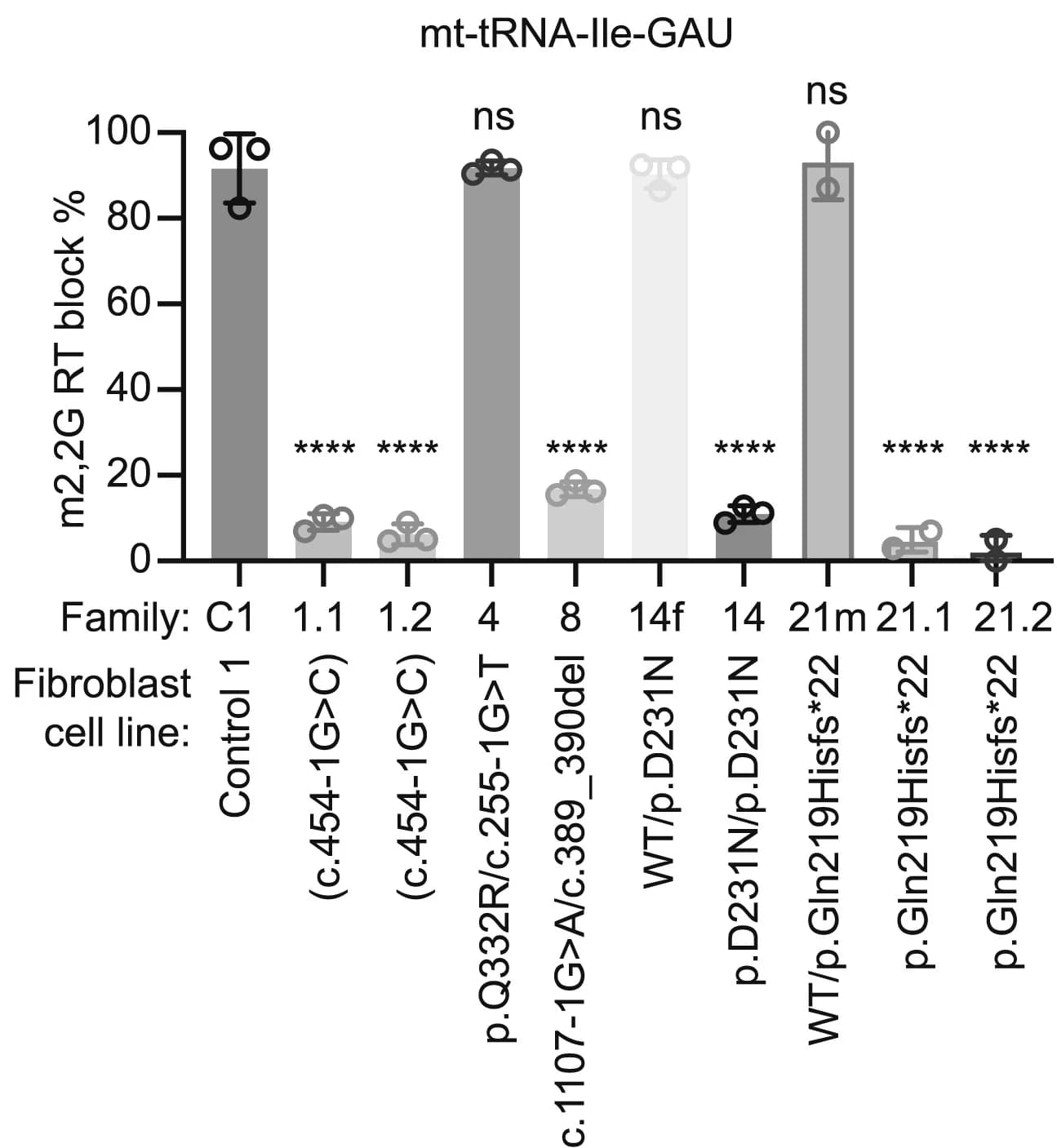 Open access visualization of Bar Plot, Error Bars, m2,2G Formation, Primer Extension, tRNAs