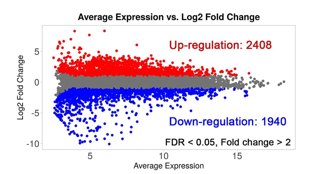 Open access visualization of Scatter Plot, Volcano Plot, MA Plot, Differentially Expressed Genes, Upregulated DEGs