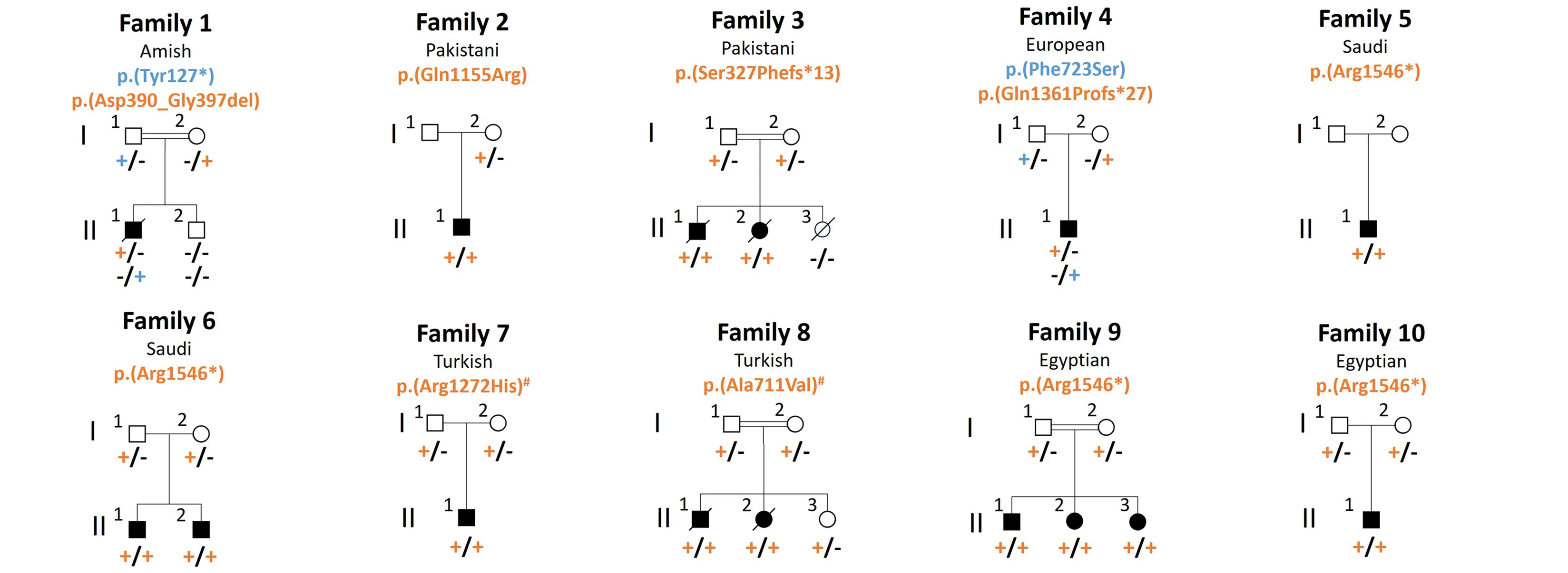Open access visualization of Illustration, Pedigrees, Autosomal Recessive Segregation, UGGT1 Variants, Splicing