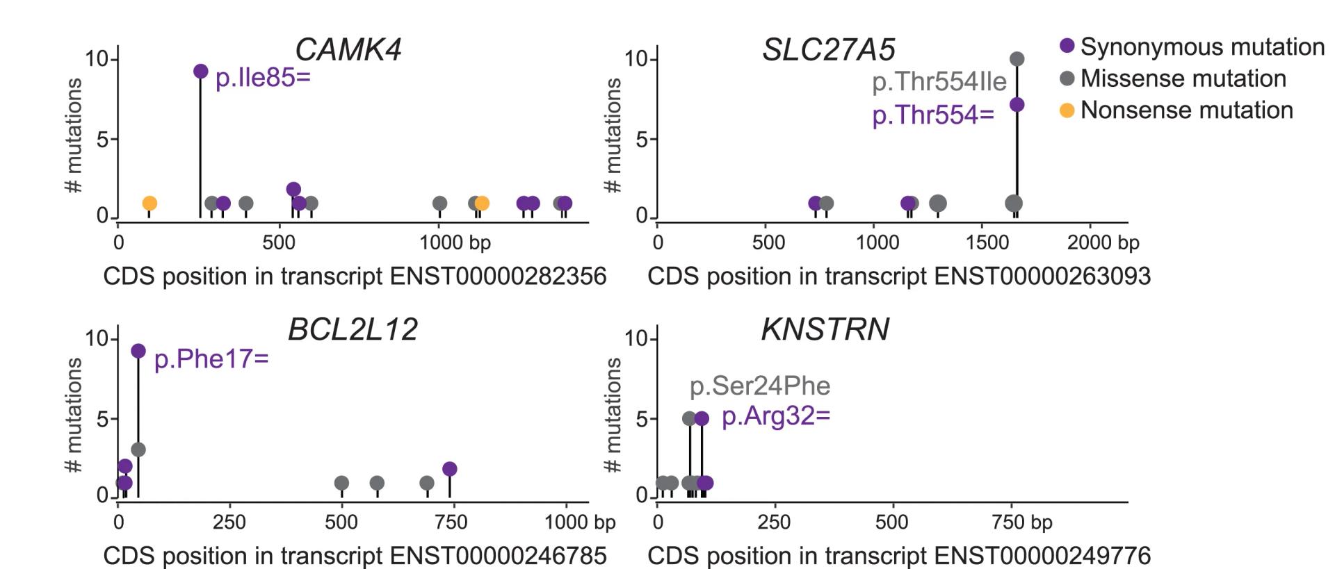 Open access visualization of Scatter Plot, Error Bars, Needleplots, Mutation Distribution, CAMK4