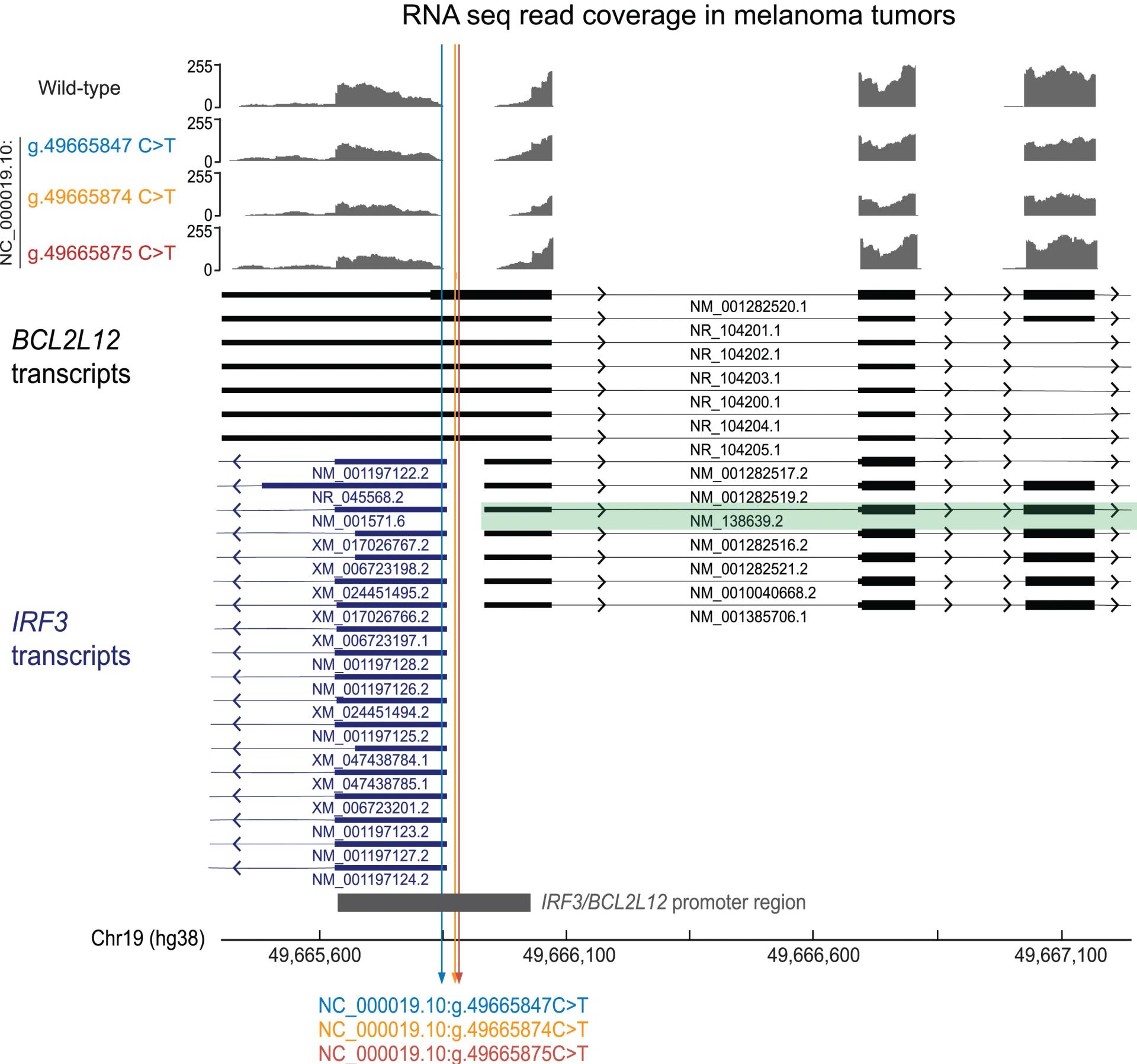 Open access visualization of Line Plot, RNA-seq, Melanoma Tumors, hg38, Integrative Genomics Viewer