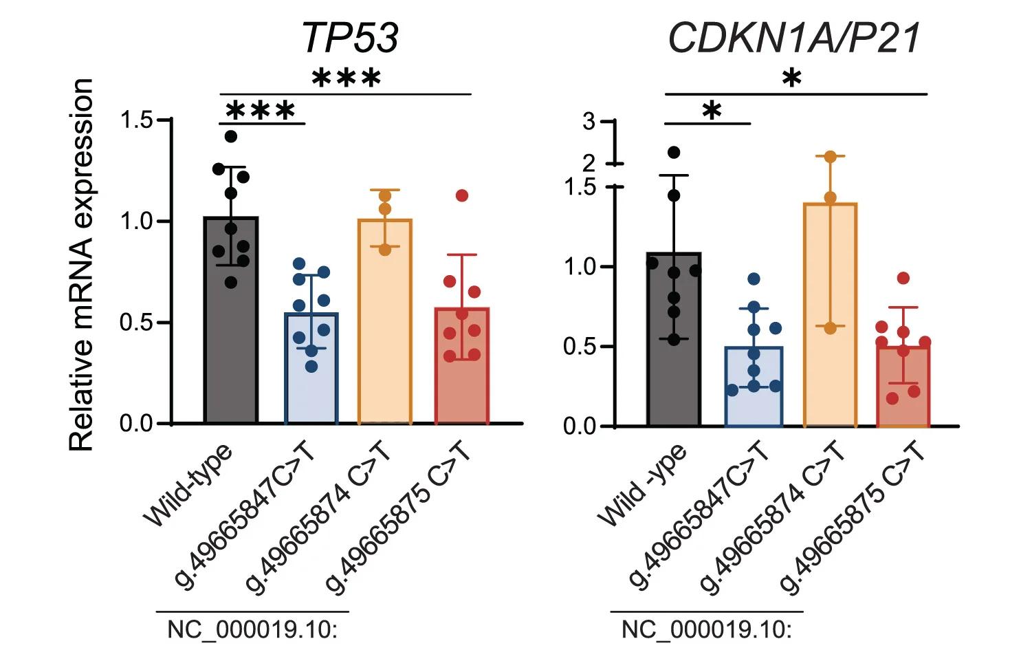 Open access visualization of Bar Plot, Error Bars, mRNA Levels, TP53, CDKN1A