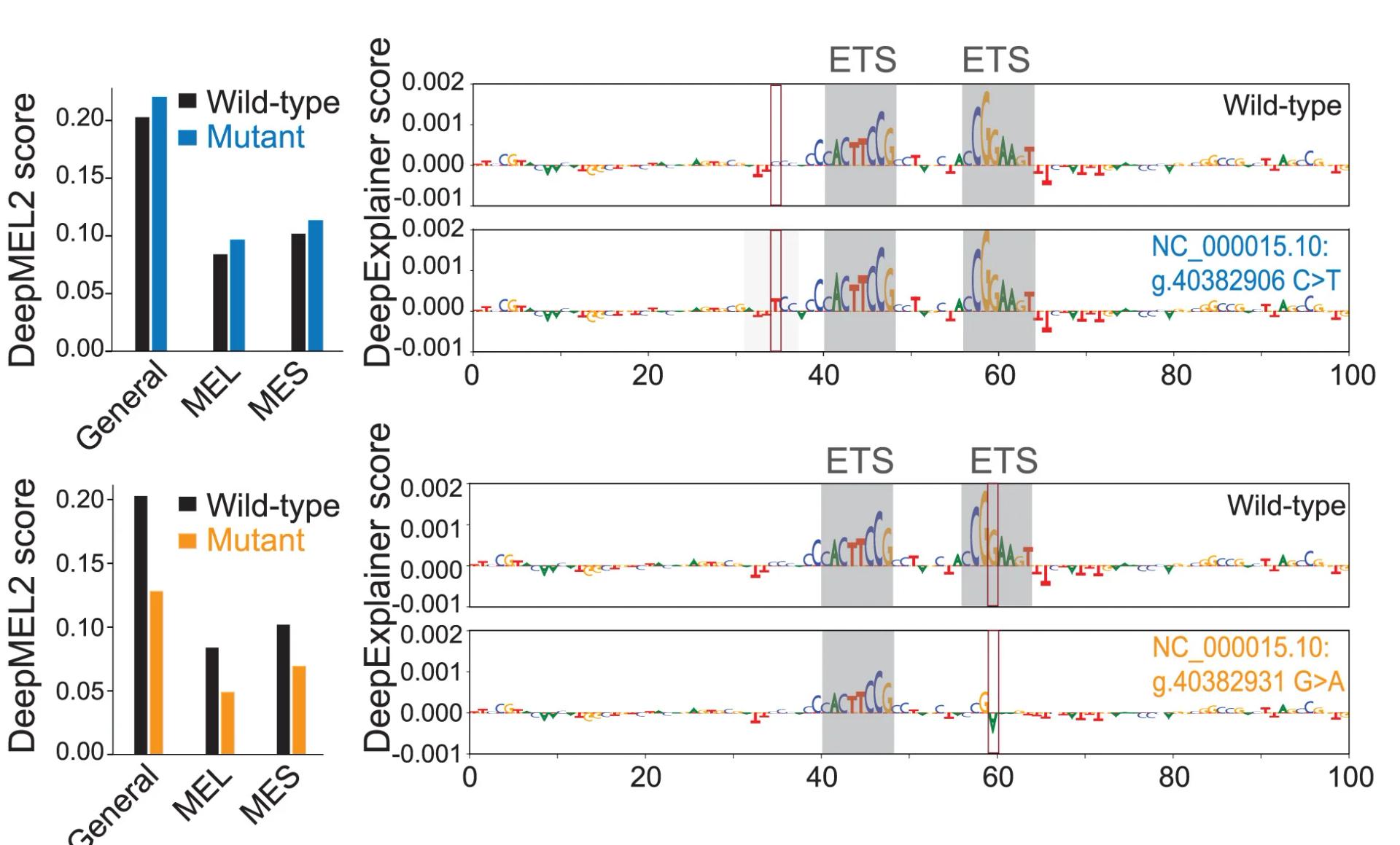 Open access visualization of Bar Plot, Line Plot, KNSTRN, Promoter Variants, DeepMEL2