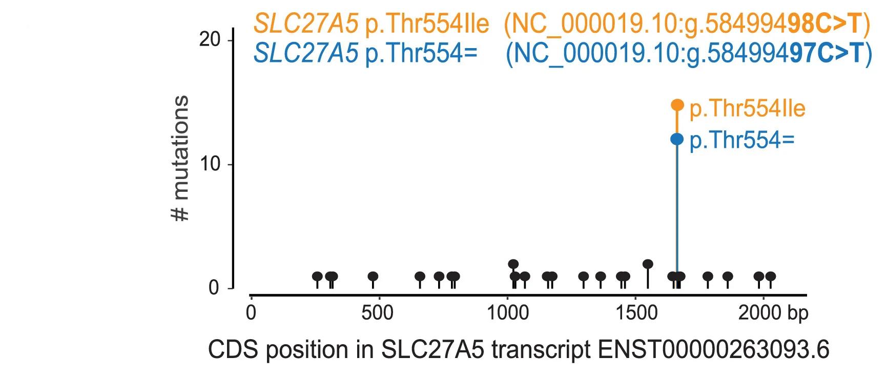 Open access visualization of Scatter Plot, Line Plot, COSMIC Mutations, SLC27A5, Malignant Melanoma