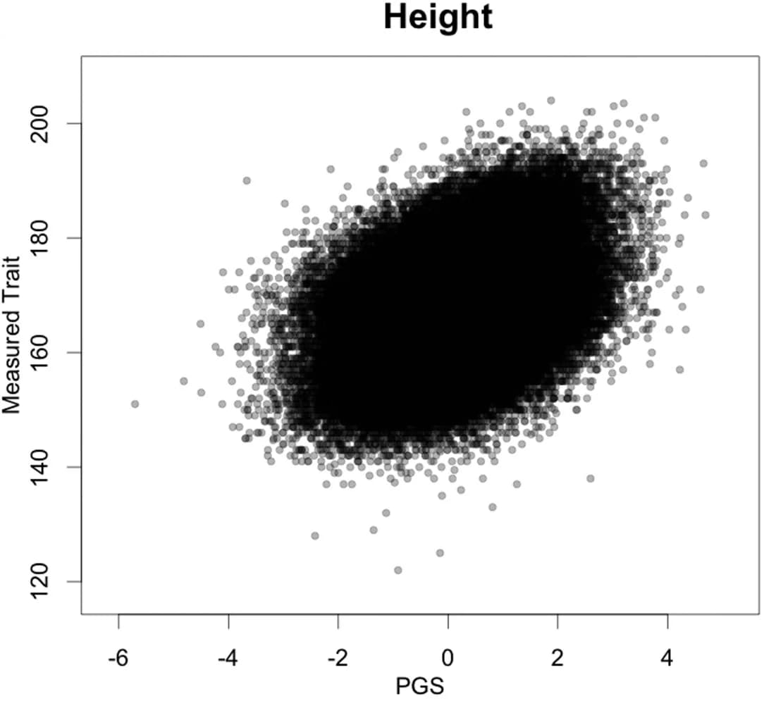 Open access visualization of Scatter Plot, Regression Plot, Height, Polygenic Score, Scatterplot