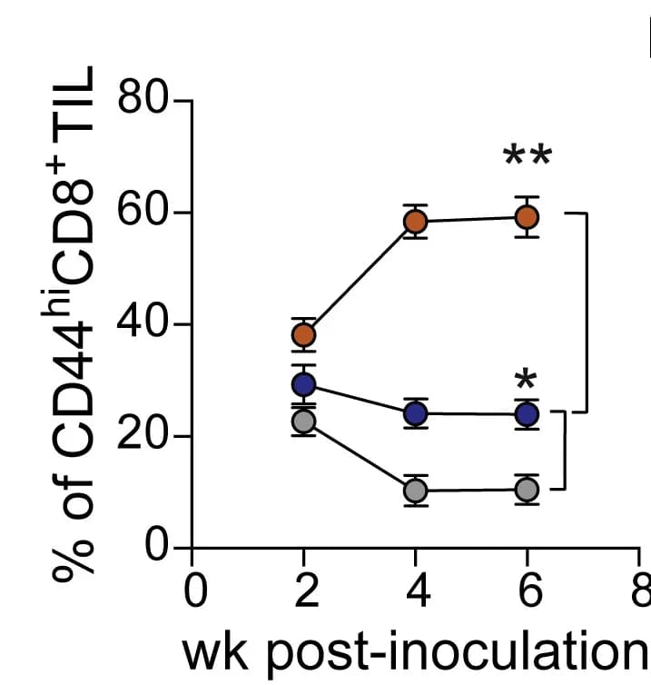 Open access visualization of Line Plot, Error Bars, CD69+CD103+ CD8+TILs, CD69+CD103− CD8+TILs, CD69−CD103− CD8+TILs