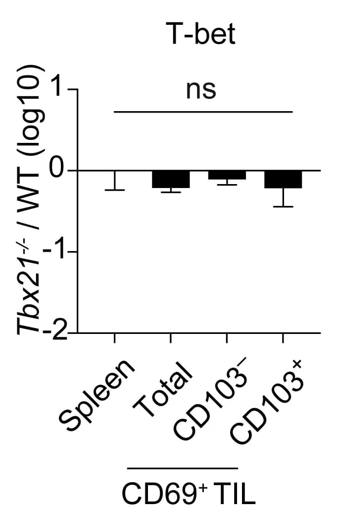 Open access visualization of Bar Plot, Error Bars, OT-I TILs, CD69+TIL, CD69+CD103− TIL