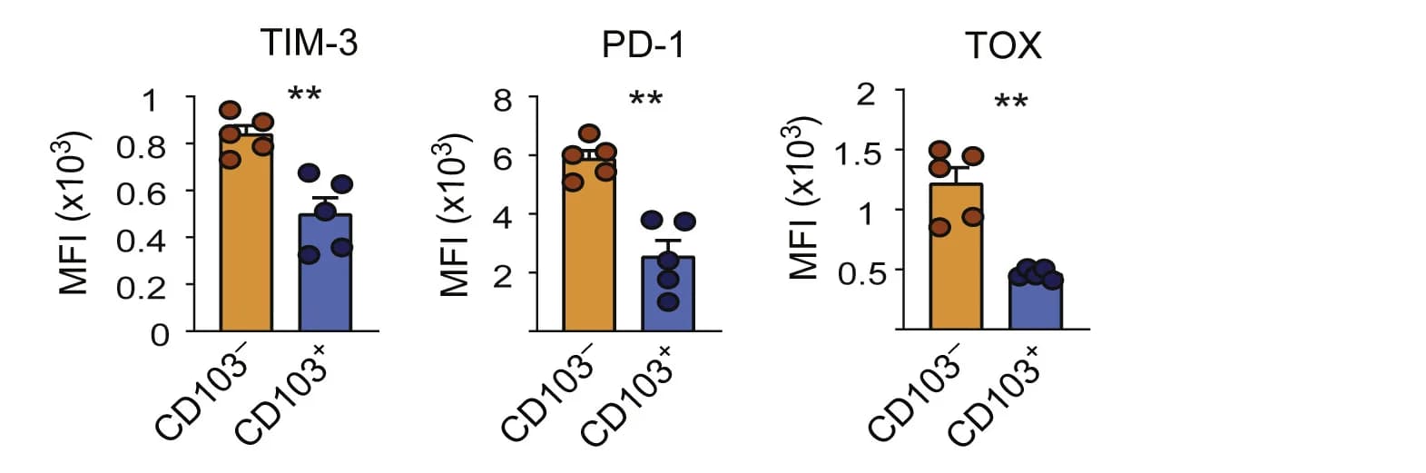 Open access visualization of Bar Plot, Error Bars, Mean Fluorescence Intensity, TIM-3, PD-1