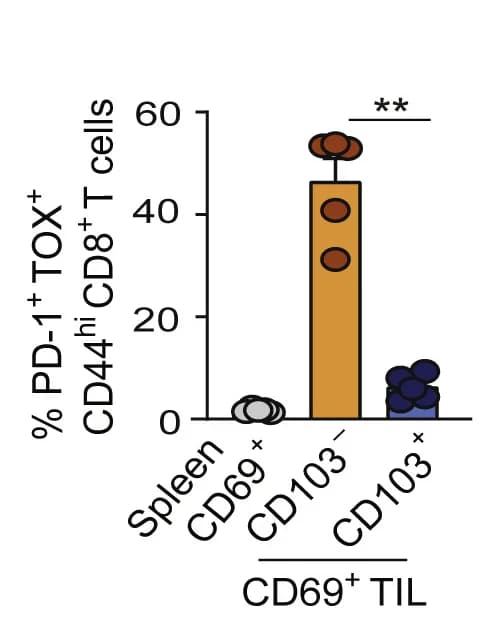 Open access visualization of Bar Plot, Error Bars, PD-1, TOX, Spleen CD69+CD44hiCD8+ T Cells