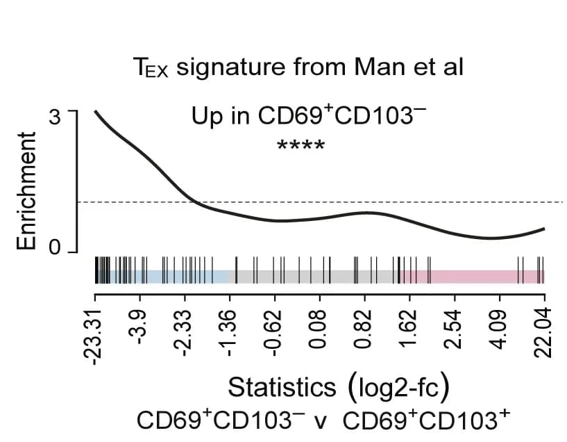 Open access visualization of Line Plot, Density Plot, GSEA, CD69+CD103- CD44hiCD8+ TILs, CD69+CD103+ CD44hiCD8+ TILs