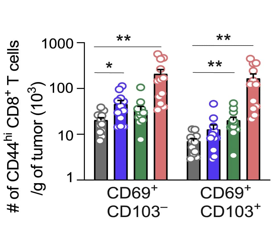 Open access visualization of Bar Plot, Error Bars, TILs, FACS, T cell sub-populations